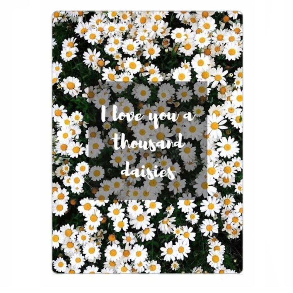 Gilmore Girls “I Love You a Thousand Daisies”